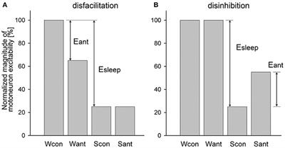 Contribution of Neurochemical Inputs to the Decrease of Motoneuron Excitability During Non-REM and REM Sleep: A Systematic Review